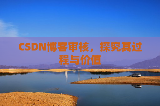 CSDN博客审核，探究其过程与价值