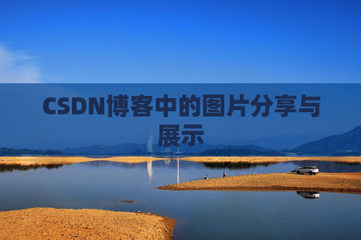 CSDN博客中的图片分享与展示